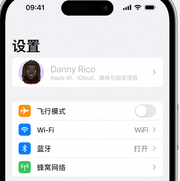 枣强appleID维修服务iPhone设置中Apple ID显示为灰色无法使用 