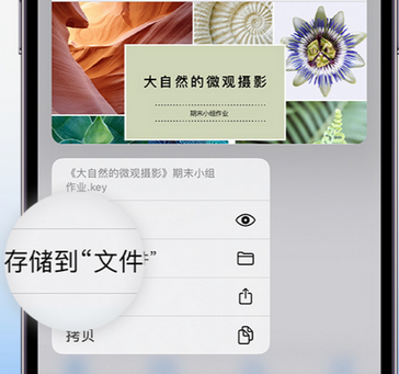 枣强apple维修中心分享iPhone文件应用中存储和找到下载文件