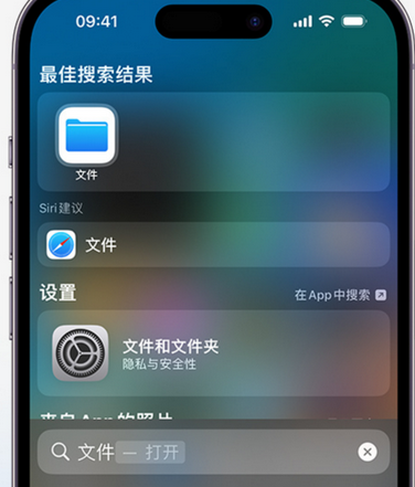 枣强apple维修中心分享iPhone文件应用中存储和找到下载文件 