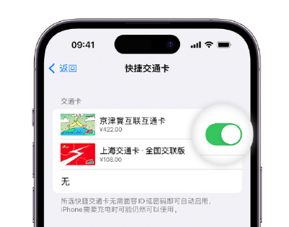 枣强apple维修点分享iPhone上更换Apple Pay快捷交通卡手绘卡面 