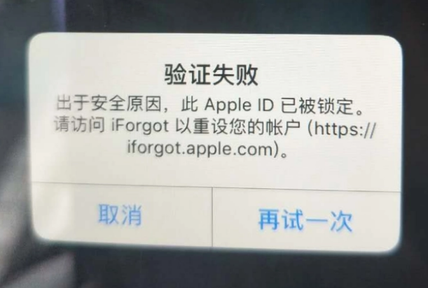 枣强iPhone维修分享iPhone上正常登录或使用AppleID怎么办 