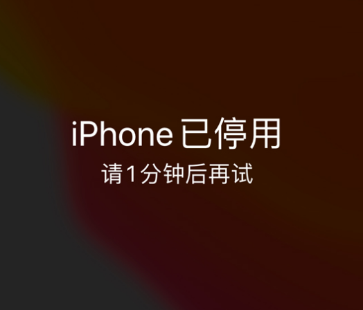 枣强苹果手机维修分享:iPhone 显示“不可用”或“已停用”怎么办？还能保留数据吗？ 