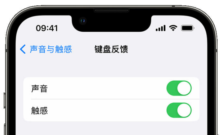 枣强苹果手机维修分享iPhone 14触感键盘使用方法 