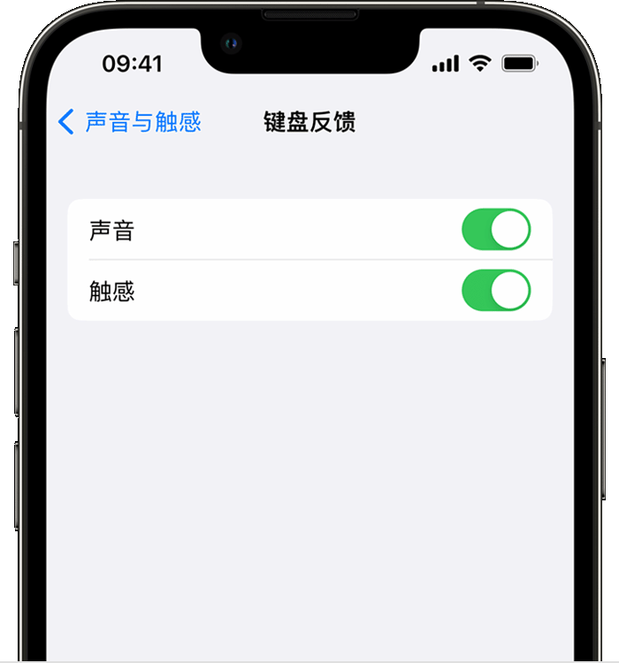 枣强苹果14维修店分享如何在 iPhone 14 机型中使用触感键盘 