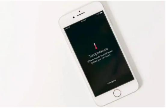 枣强苹果手机维修分享iPhone 手机发热如何快速降温 