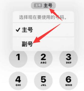 枣强苹果14维修店分享iPhone 14 Pro Max使用副卡打电话的方法 