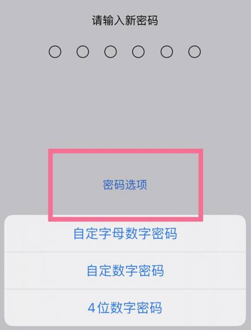 枣强苹果14维修分享iPhone 14plus设置密码的方法 