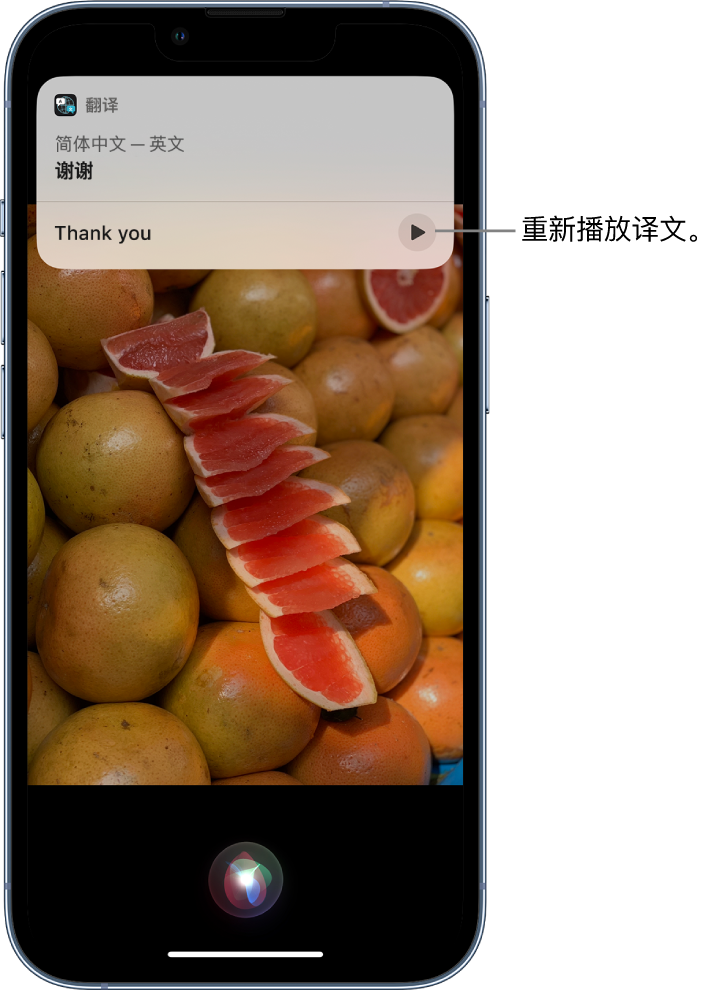 枣强苹果14维修分享 iPhone 14 机型中使用 Siri：了解 Siri 能帮你做什么 