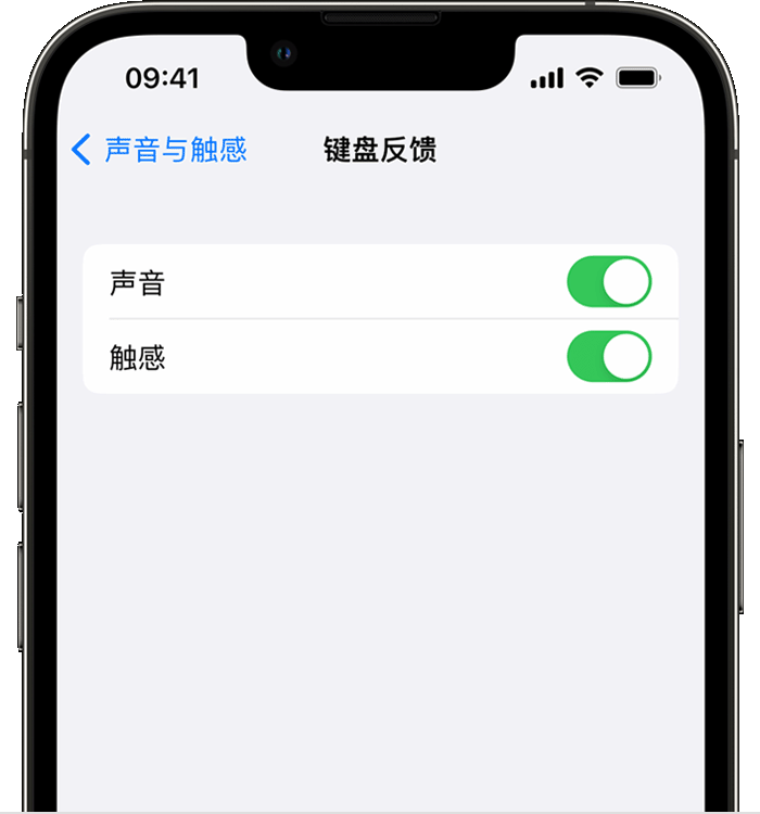 枣强苹果14维修分享iPhone 14 系列机型如何开启键盘声音或触感反馈 