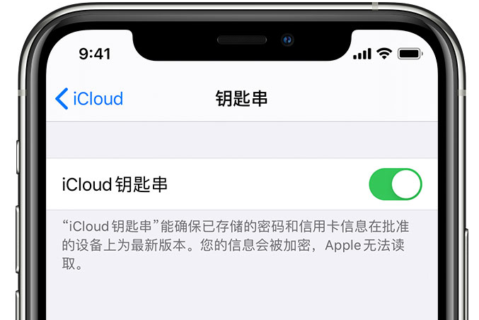 枣强苹果手机维修分享在 iPhone 上开启 iCloud 钥匙串之后会储存哪些信息 