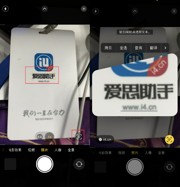 枣强苹果手机维修分享升级iOS 16后如何通过相机翻译文本 