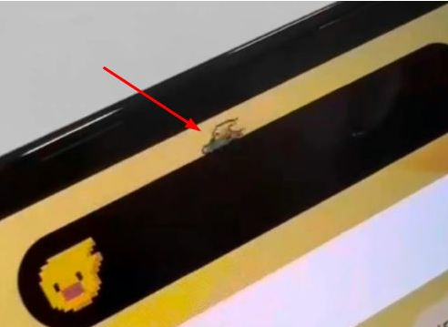 枣强苹果14维修分享iPhone 14 Pro Max灵动岛怎么养宠物 