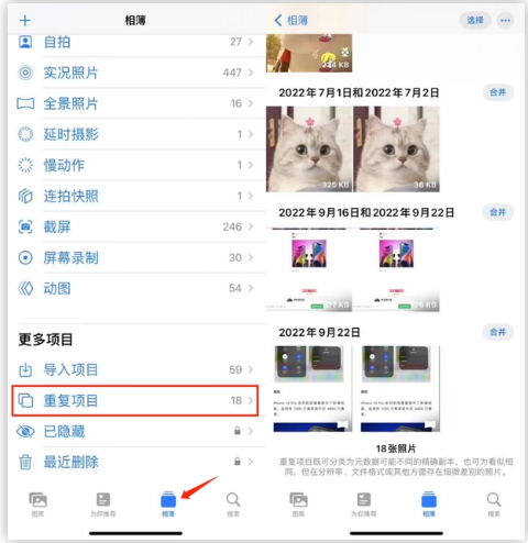 枣强苹果手机维修分享iOS 16 中相册重复项目功能使用方法 