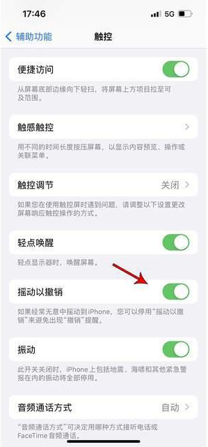 枣强苹果手机维修分享iPhone手机如何设置摇一摇删除文字 