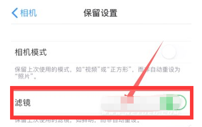 枣强苹果13维修分享iPhone13拍照有绿点是怎么回事 