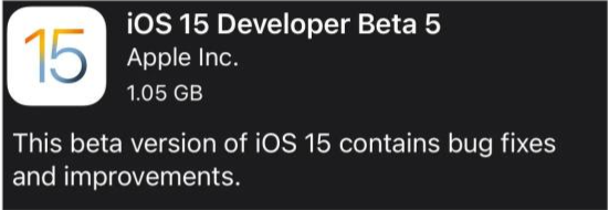 枣强苹果手机维修分享如何升级到iOS15.0 beta5 