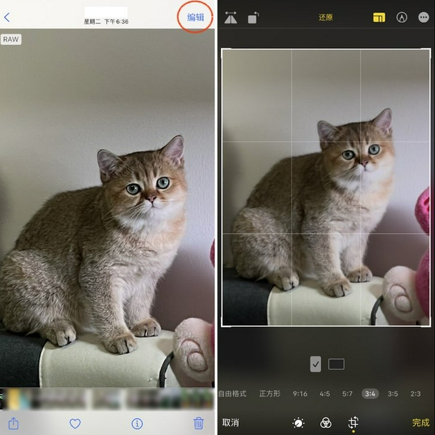 枣强苹果手机维修分享苹果 iPhone 12 Pro 拍照会过度锐化 