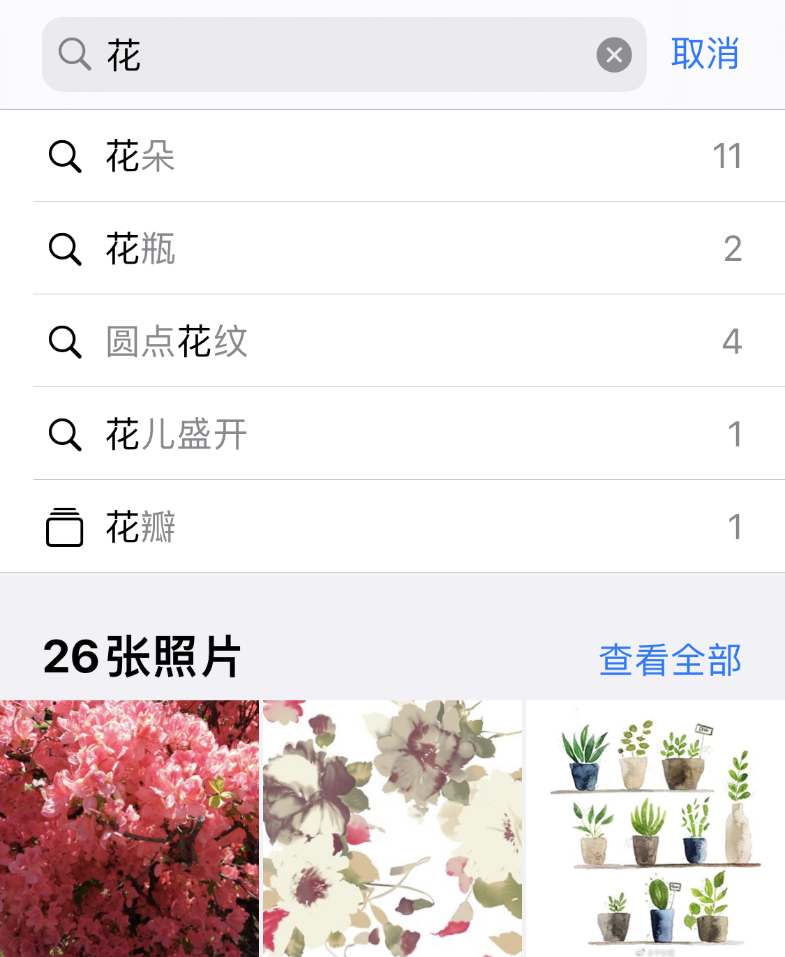 枣强苹果手机维修分享iPhone 小技巧 