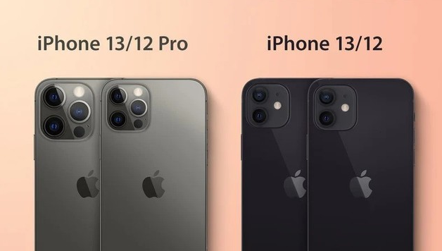 枣强苹果手机维修分享iPhone 13 摄像头长什么样 