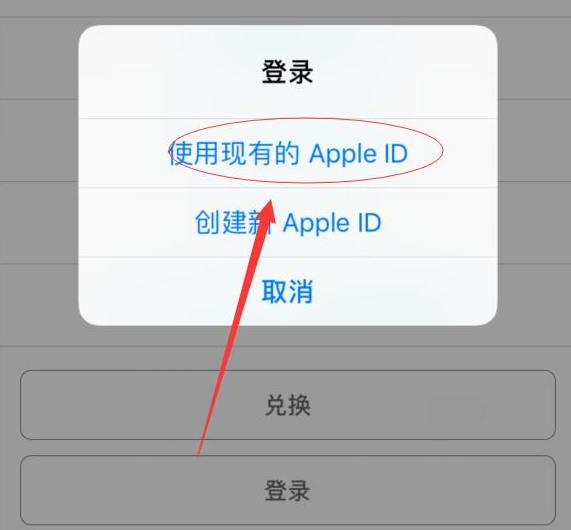 枣强苹果手机维修分享两台iPhone设备可以同时登录一个Apple ID吗 