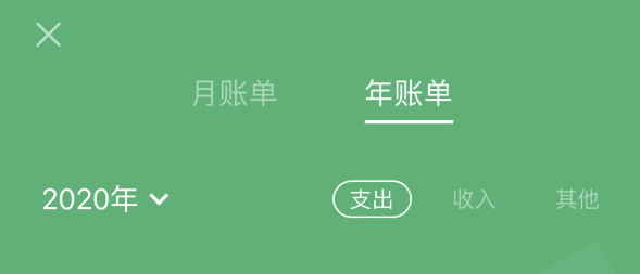 枣强苹果手机维修分享如何在 iPhone 上查看支付宝和微信年支出账单 