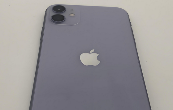 枣强苹果11系统维修分享iPhone11手机系统崩溃无法开机如何解决 